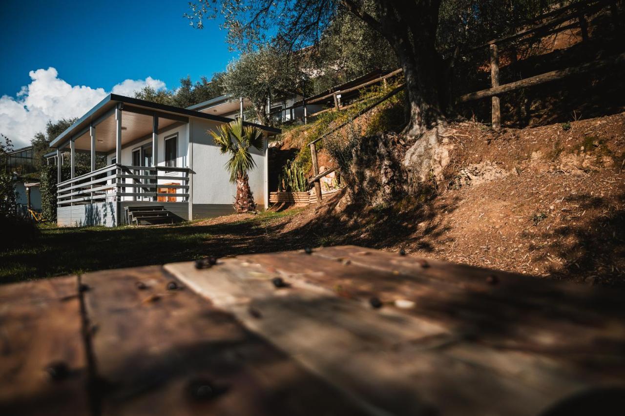 Agriturismo Rose Di Pietra بيترا ليغوري المظهر الخارجي الصورة