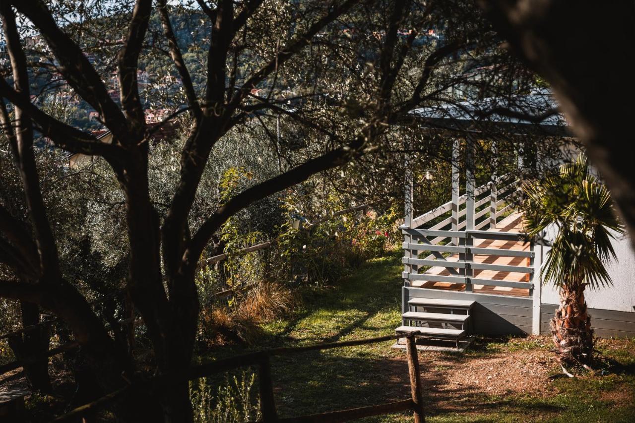 Agriturismo Rose Di Pietra بيترا ليغوري المظهر الخارجي الصورة