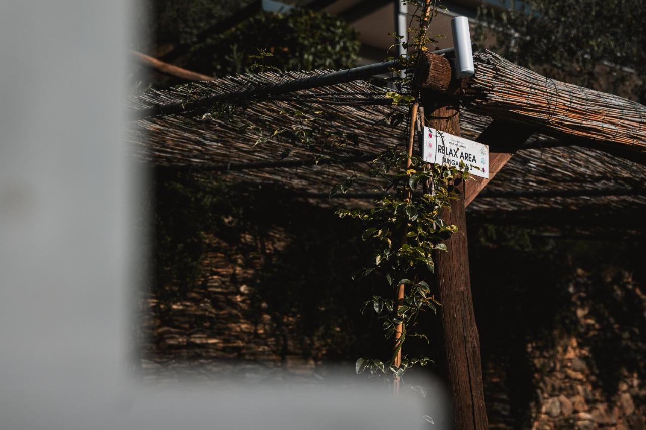 Agriturismo Rose Di Pietra بيترا ليغوري المظهر الخارجي الصورة