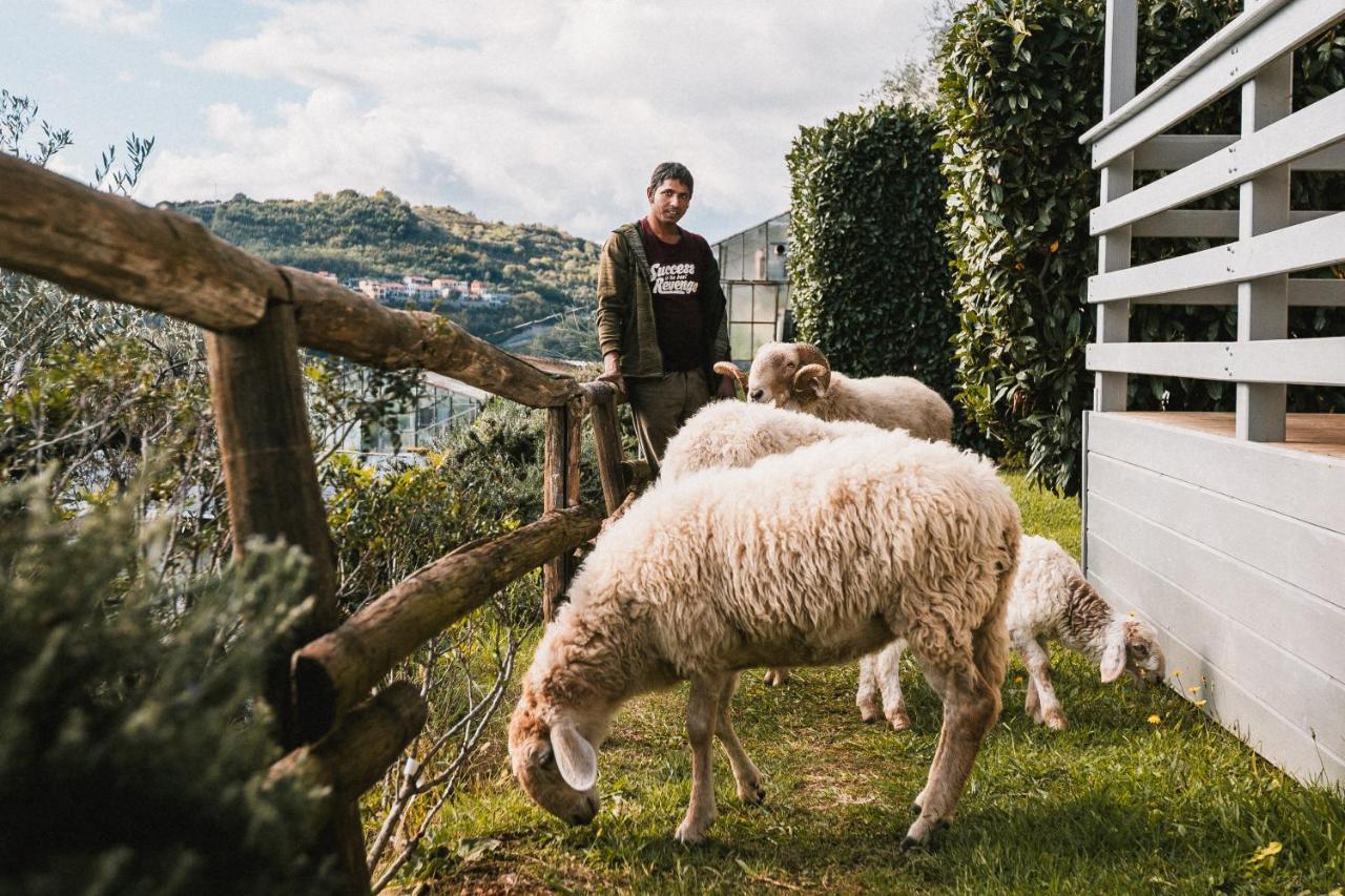 Agriturismo Rose Di Pietra بيترا ليغوري المظهر الخارجي الصورة