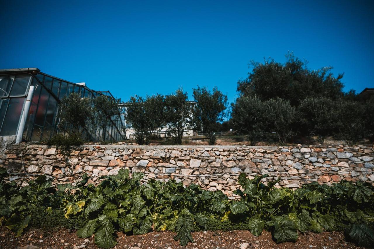 Agriturismo Rose Di Pietra بيترا ليغوري المظهر الخارجي الصورة