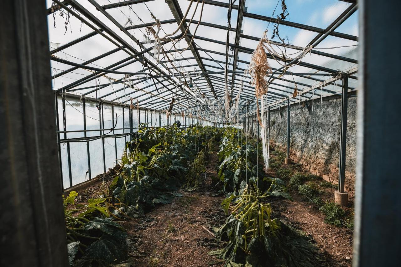 Agriturismo Rose Di Pietra بيترا ليغوري المظهر الخارجي الصورة