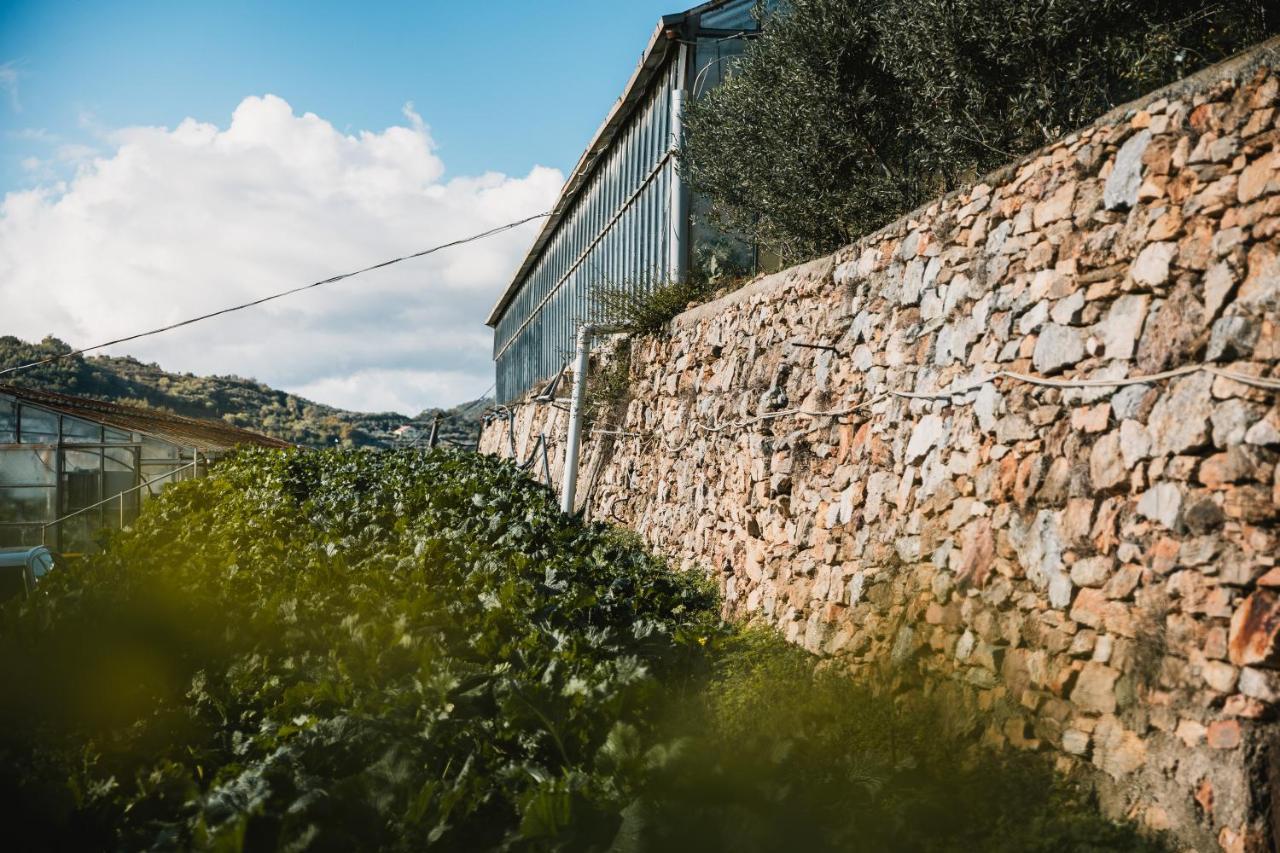 Agriturismo Rose Di Pietra بيترا ليغوري المظهر الخارجي الصورة